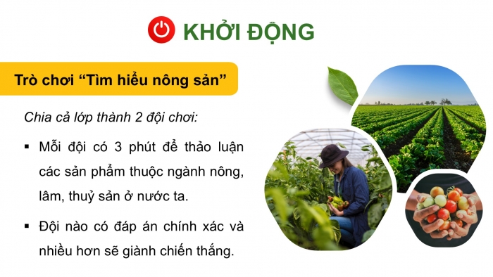 Giáo án điện tử Địa lí 12 kết nối Bài 14: Thực hành Tìm hiểu vai trò ngành nông nghiệp, lâm nghiệp và thuỷ sản; vẽ biểu đồ và nhận xét về ngành nông nghiệp, lâm nghiệp và thuỷ sản