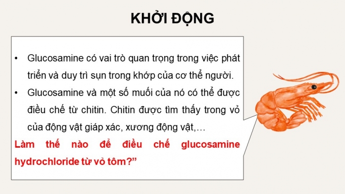 Giáo án điện tử chuyên đề Hoá học 11 chân trời Bài 6: Điều chế glucosamine hydrochloride từ vỏ tôm