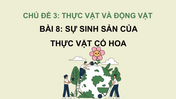 Giáo án điện tử Khoa học 5 cánh diều Bài 8: Sự sinh sản của thực vật có hoa