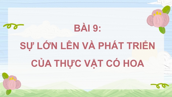 Giáo án điện tử Khoa học 5 cánh diều Bài 9: Sự lớn lên và phát triển của thực vật có hoa