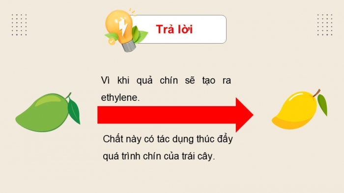 Giáo án điện tử KHTN 9 kết nối - Phân môn Hoá học Bài Ôn tập học kì 1