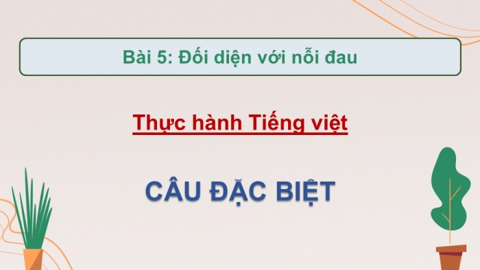 Giáo án điện tử Ngữ văn 9 kết nối Bài 5: Thực hành tiếng Việt (2)