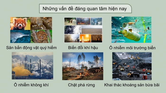 Giáo án điện tử Ngữ văn 9 cánh diều Bài 5: Trình bày ý kiến về một sự việc có tính thời sự