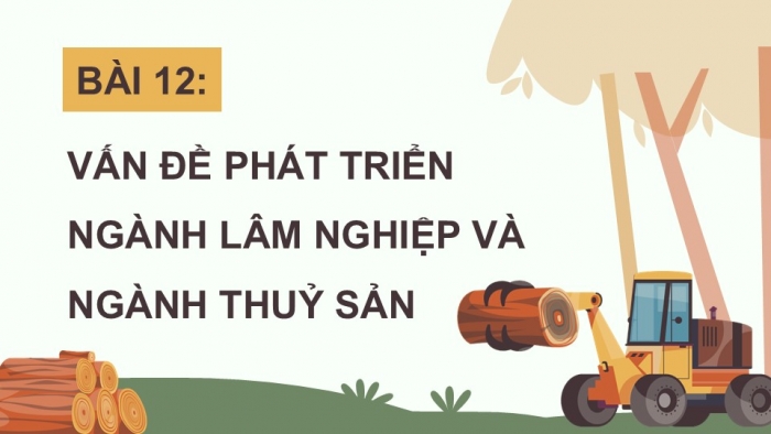 Giáo án điện tử Địa lí 12 kết nối Bài 12: Vấn đề phát triển ngành lâm nghiệp và ngành thuỷ sản