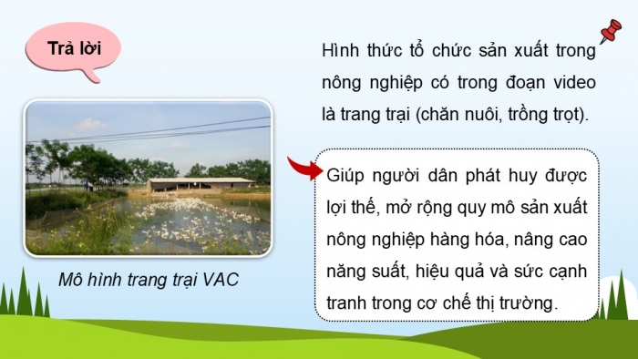 Giáo án điện tử Địa lí 12 kết nối Bài 13: Tổ chức lãnh thổ nông nghiệp