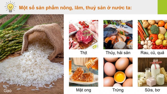 Giáo án điện tử Địa lí 12 kết nối Bài 14: Thực hành Tìm hiểu vai trò ngành nông nghiệp, lâm nghiệp và thuỷ sản; vẽ biểu đồ và nhận xét về ngành nông nghiệp, lâm nghiệp và thuỷ sản