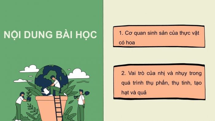 Giáo án điện tử Khoa học 5 cánh diều Bài 8: Sự sinh sản của thực vật có hoa