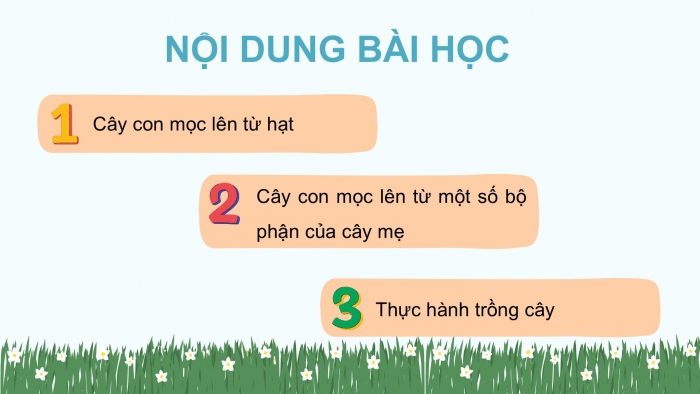 Giáo án điện tử Khoa học 5 cánh diều Bài 9: Sự lớn lên và phát triển của thực vật có hoa