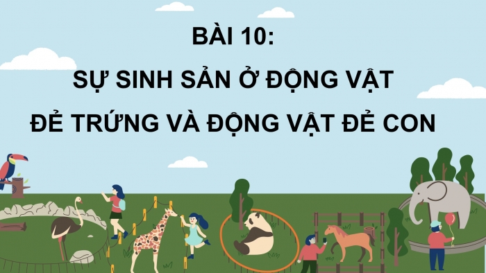 Giáo án điện tử Khoa học 5 cánh diều Bài 10: Sự sinh sản ở động vật đẻ trứng và động vật đẻ con