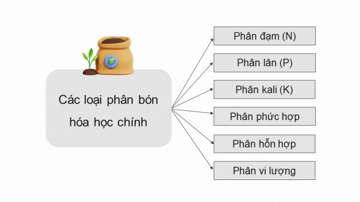 Giáo án điện tử chuyên đề Hoá học 11 chân trời Bài 2: Phân bón vô cơ