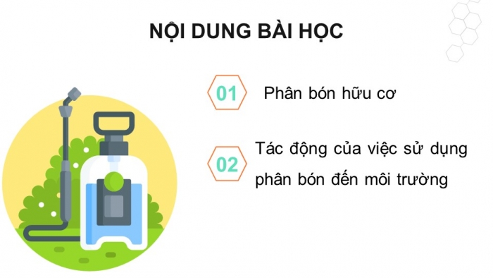 Giáo án điện tử chuyên đề Hoá học 11 chân trời Bài 3: Phân bón hữu cơ