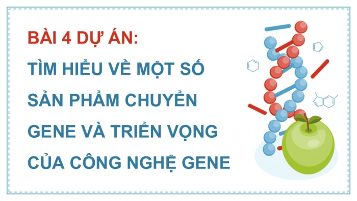 Giáo án điện tử chuyên đề Sinh học 12 chân trời Bài 4 Dự án: Tìm hiểu về một số sản phẩm chuyển gene và triển vọng của công nghệ gene