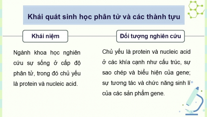 Giáo án điện tử chuyên đề Sinh học 12 chân trời Ôn tập CĐ 1