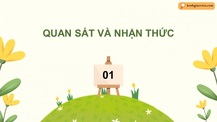 Giáo án điện tử Mĩ thuật 5 chân trời bản 2 Bài 5: Lễ hội hoa