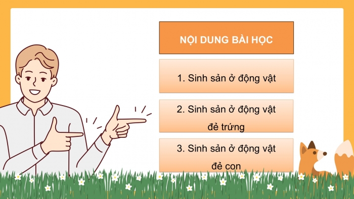 Giáo án điện tử Khoa học 5 cánh diều Bài 10: Sự sinh sản ở động vật đẻ trứng và động vật đẻ con