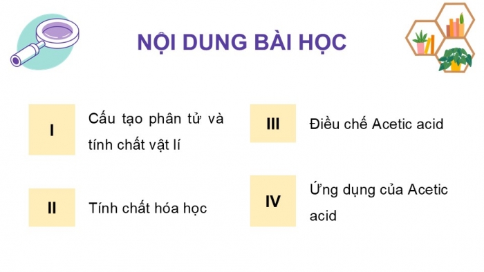 Giáo án điện tử KHTN 9 cánh diều - Phân môn Hoá học Bài 24: Acetic acid