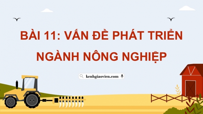 Giáo án điện tử Địa lí 12 kết nối Bài 11: Vấn đề phát triển ngành nông nghiệp