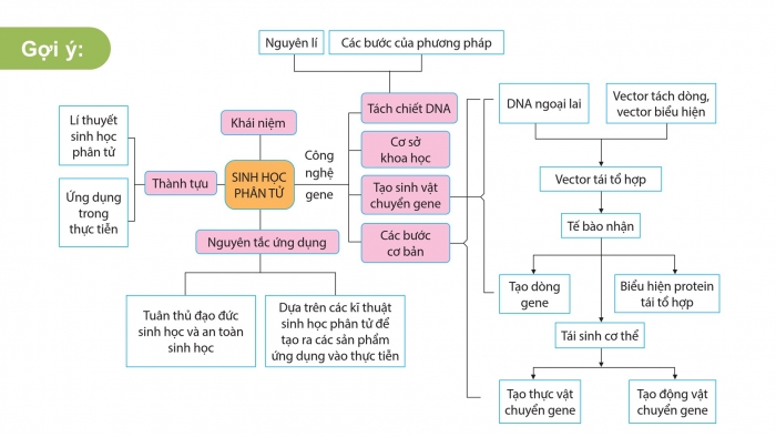 Giáo án điện tử chuyên đề Sinh học 12 cánh diều Ôn tập CĐ 1