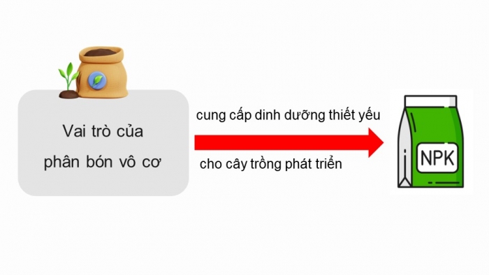 Giáo án điện tử chuyên đề Hoá học 11 chân trời Bài 2: Phân bón vô cơ