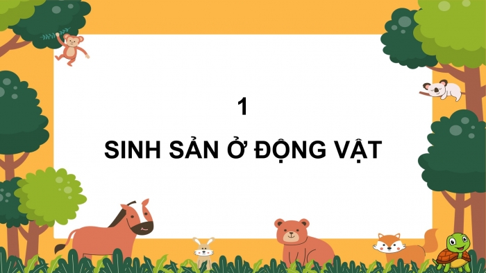 Giáo án điện tử Khoa học 5 cánh diều Bài 10: Sự sinh sản ở động vật đẻ trứng và động vật đẻ con