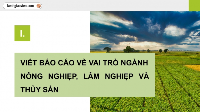 Giáo án điện tử Địa lí 12 kết nối Bài 14: Thực hành Tìm hiểu vai trò ngành nông nghiệp, lâm nghiệp và thuỷ sản; vẽ biểu đồ và nhận xét về ngành nông nghiệp, lâm nghiệp và thuỷ sản