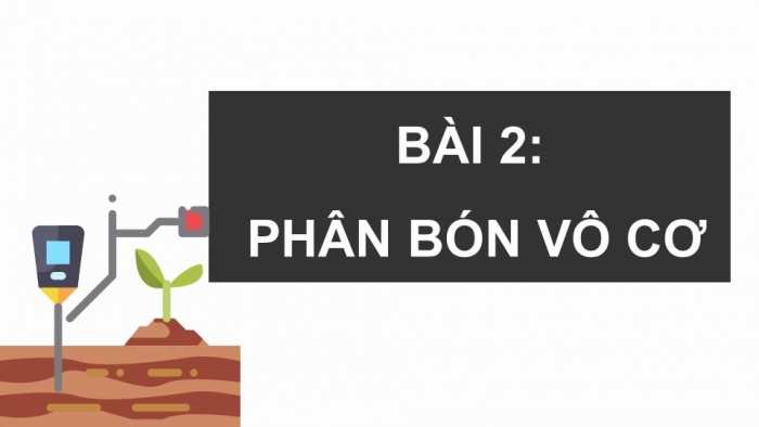 Giáo án điện tử chuyên đề Hoá học 11 chân trời Bài 2: Phân bón vô cơ