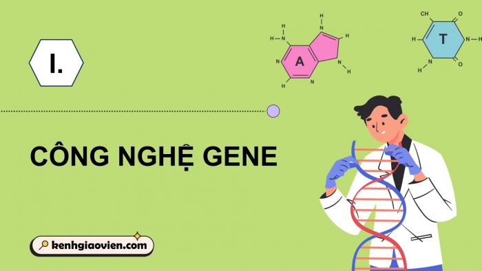 Giáo án điện tử chuyên đề Sinh học 12 chân trời Bài 3: Công nghệ gene và thành tựu