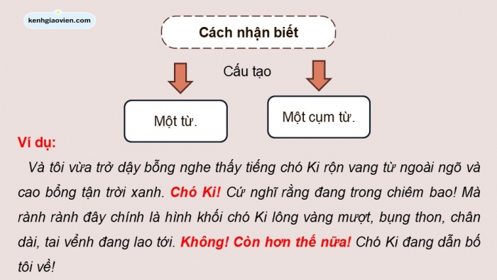 Giáo án điện tử Ngữ văn 9 kết nối Bài 5: Thực hành tiếng Việt (2)