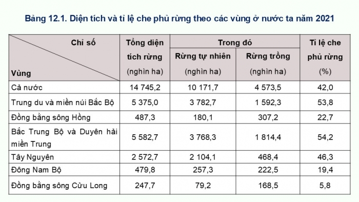 Giáo án điện tử Địa lí 12 kết nối Bài 12: Vấn đề phát triển ngành lâm nghiệp và ngành thuỷ sản