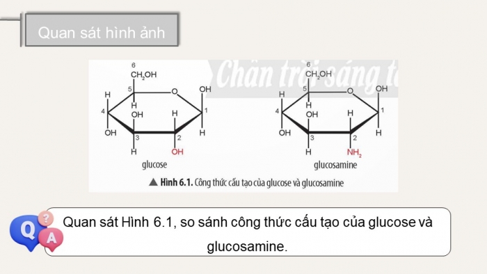 Giáo án điện tử chuyên đề Hoá học 11 chân trời Bài 6: Điều chế glucosamine hydrochloride từ vỏ tôm