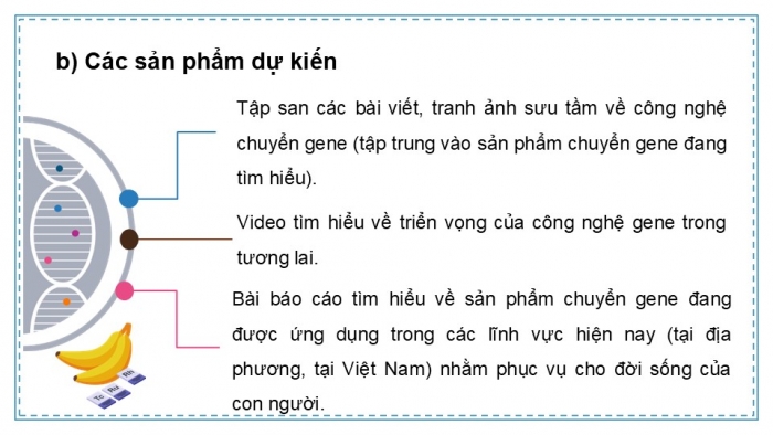 Giáo án điện tử chuyên đề Sinh học 12 chân trời Bài 4 Dự án: Tìm hiểu về một số sản phẩm chuyển gene và triển vọng của công nghệ gene