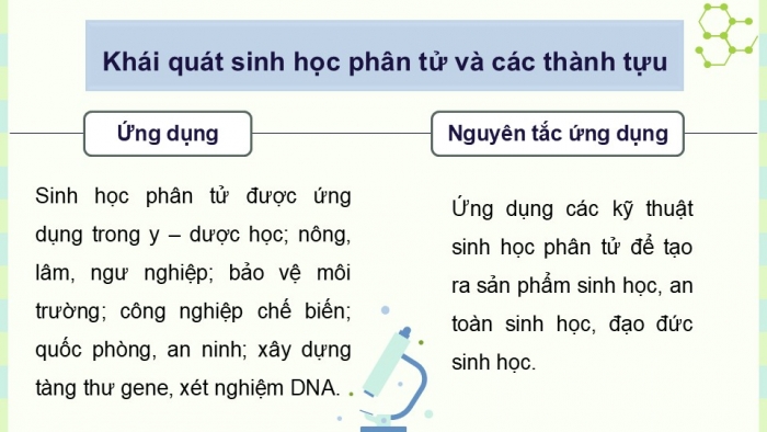 Giáo án điện tử chuyên đề Sinh học 12 chân trời Ôn tập CĐ 1