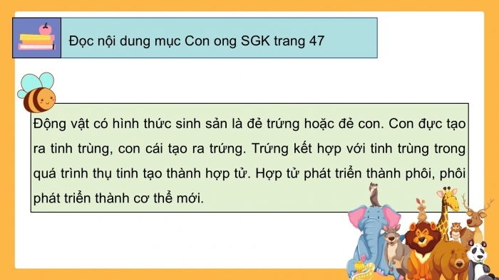 Giáo án điện tử Khoa học 5 cánh diều Bài 10: Sự sinh sản ở động vật đẻ trứng và động vật đẻ con