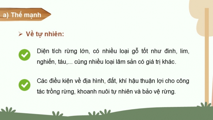 Giáo án điện tử Địa lí 12 kết nối Bài 12: Vấn đề phát triển ngành lâm nghiệp và ngành thuỷ sản