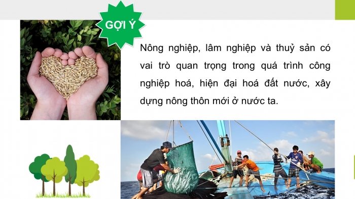 Giáo án điện tử Địa lí 12 kết nối Bài 14: Thực hành Tìm hiểu vai trò ngành nông nghiệp, lâm nghiệp và thuỷ sản; vẽ biểu đồ và nhận xét về ngành nông nghiệp, lâm nghiệp và thuỷ sản