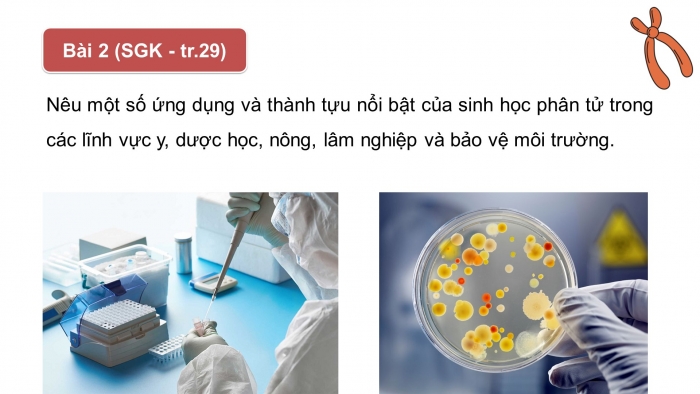 Giáo án điện tử chuyên đề Sinh học 12 cánh diều Ôn tập CĐ 1