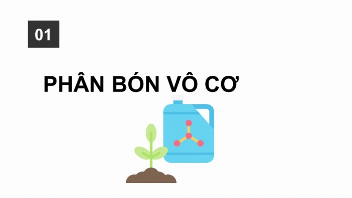 Giáo án điện tử chuyên đề Hoá học 11 chân trời Bài 2: Phân bón vô cơ