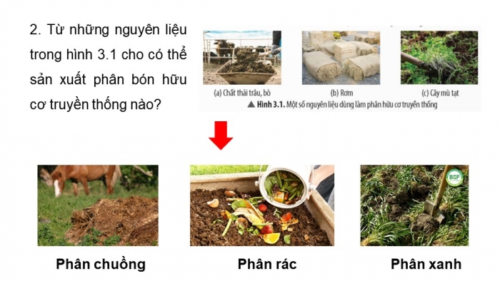 Giáo án điện tử chuyên đề Hoá học 11 chân trời Bài 3: Phân bón hữu cơ