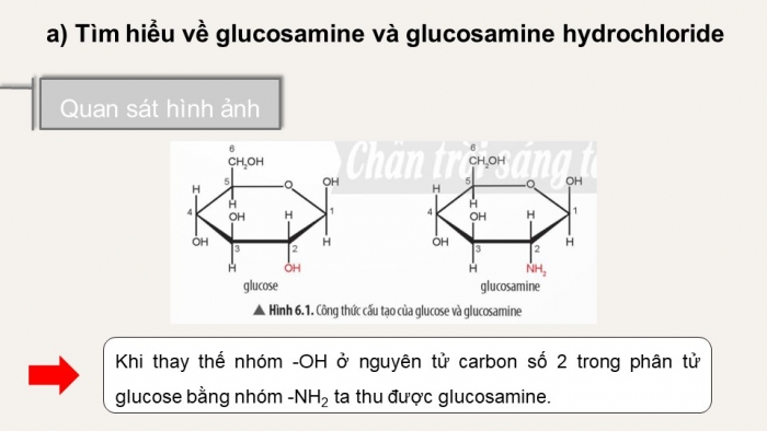 Giáo án điện tử chuyên đề Hoá học 11 chân trời Bài 6: Điều chế glucosamine hydrochloride từ vỏ tôm