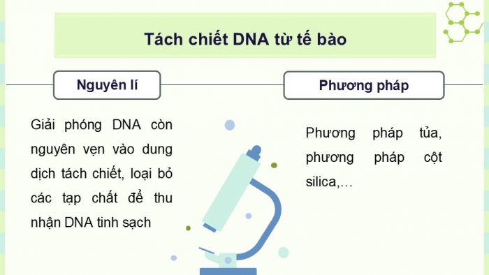 Giáo án điện tử chuyên đề Sinh học 12 chân trời Ôn tập CĐ 1