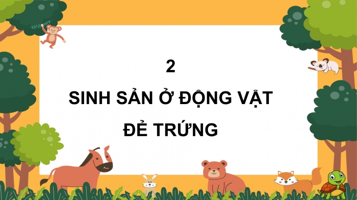 Giáo án điện tử Khoa học 5 cánh diều Bài 10: Sự sinh sản ở động vật đẻ trứng và động vật đẻ con