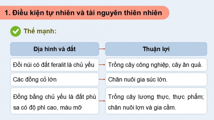 Giáo án điện tử Địa lí 12 kết nối Bài 11: Vấn đề phát triển ngành nông nghiệp