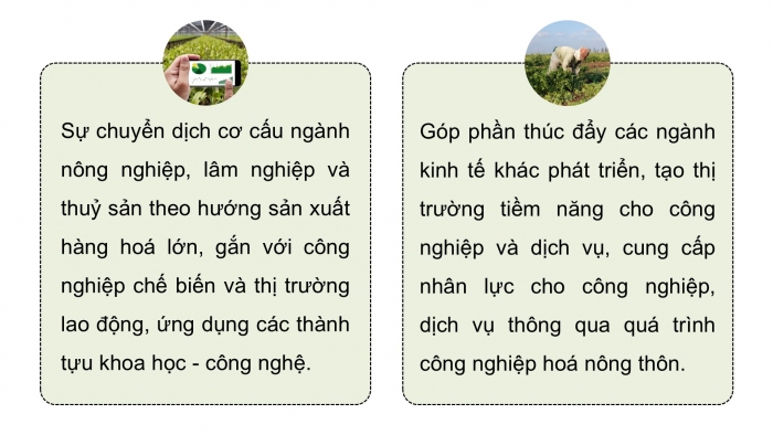 Giáo án điện tử Địa lí 12 kết nối Bài 14: Thực hành Tìm hiểu vai trò ngành nông nghiệp, lâm nghiệp và thuỷ sản; vẽ biểu đồ và nhận xét về ngành nông nghiệp, lâm nghiệp và thuỷ sản