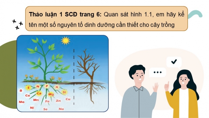 Giáo án điện tử chuyên đề Hoá học 11 chân trời Bài 1: Giới thiệu chung về phân bón