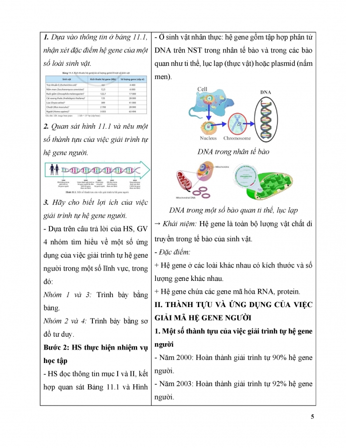 Giáo án và PPT Sinh học 12 cánh diều bài 11: Hệ gene, công nghệ gene và ứng dụng