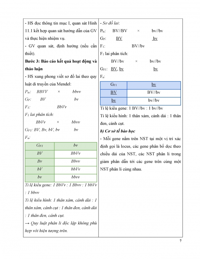 Giáo án và PPT Sinh học 12 kết nối Bài 11: Liên kết gene và hoán vị gene