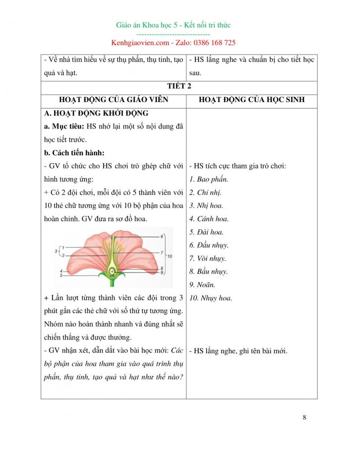 Giáo án và PPT Khoa học 5 Kết nối bài 13: Sinh sản của thực vật có hoa