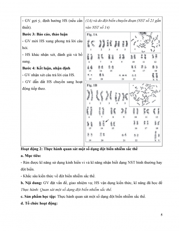 Giáo án và PPT Sinh học 12 kết nối Bài 14: Thực hành Quan sát một số dạng đột biến nhiễm sắc thể