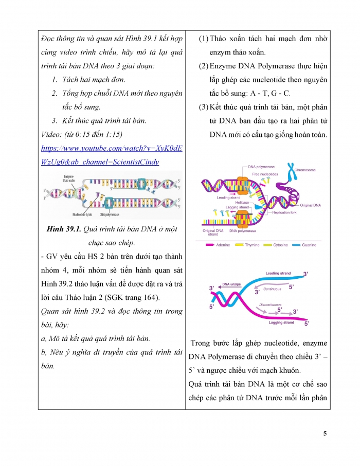 Giáo án và PPT KHTN 9 chân trời Bài 39: Quá trình tái bản, phiên mã và dịch mã