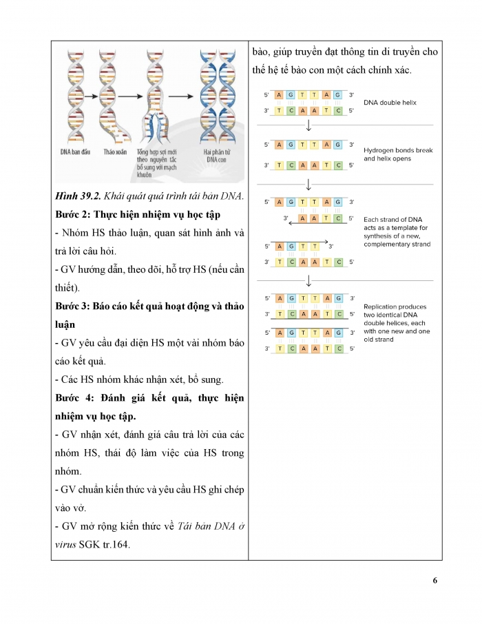 Giáo án và PPT KHTN 9 chân trời Bài 39: Quá trình tái bản, phiên mã và dịch mã